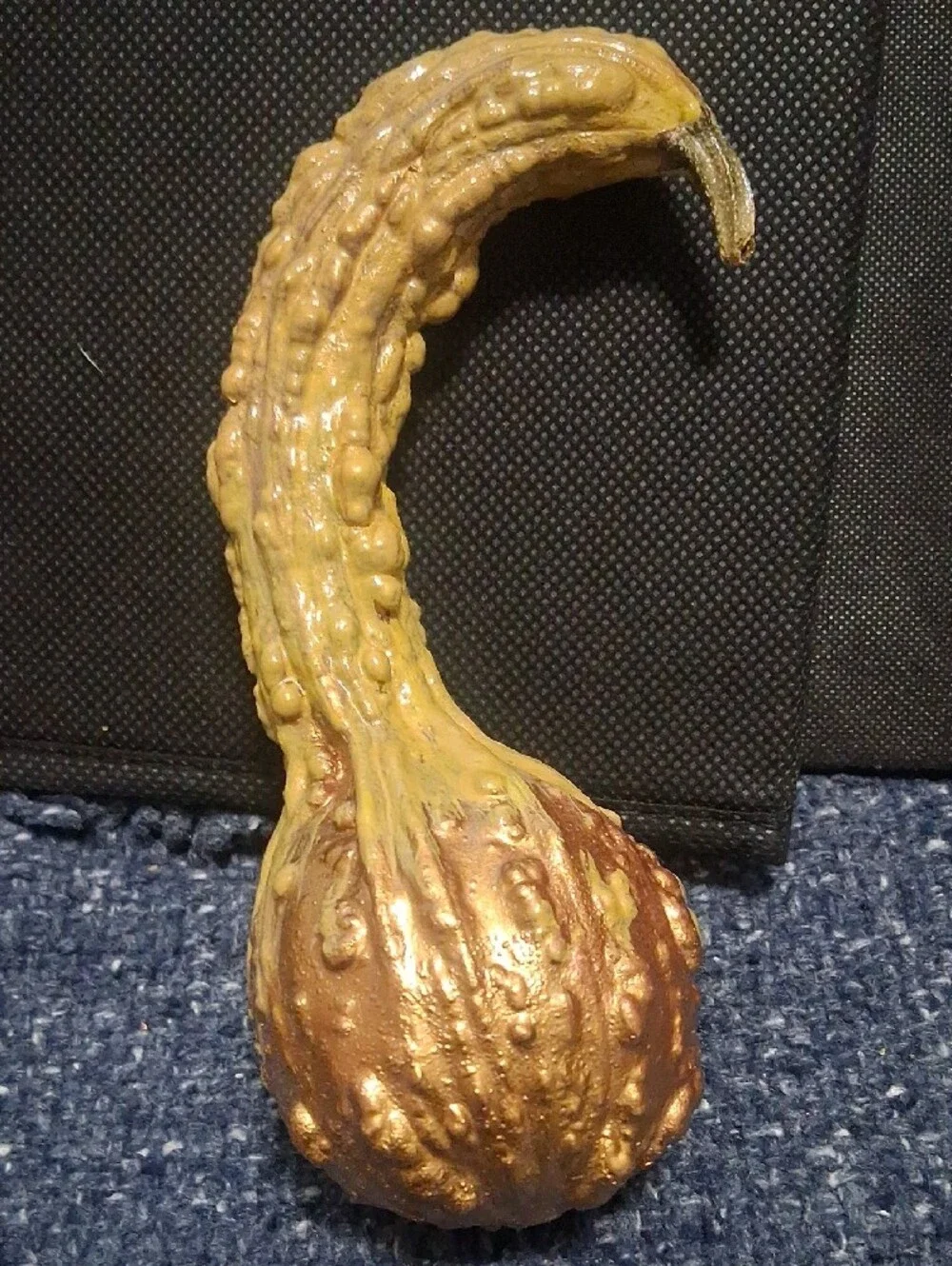 Decorative Dried Gourds-